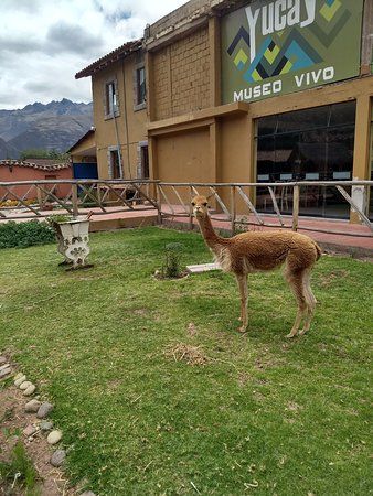 Yucay Museo de Cultura Viva